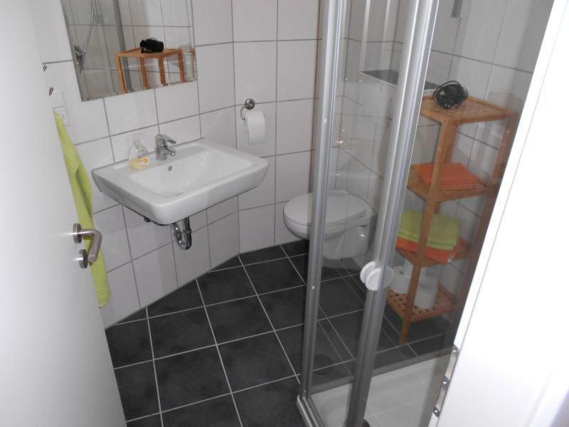 Apartment Schwendemann Lahr  Værelse billede