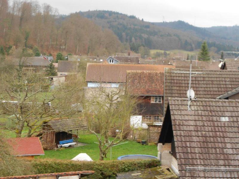 Apartment Schwendemann Lahr  Eksteriør billede